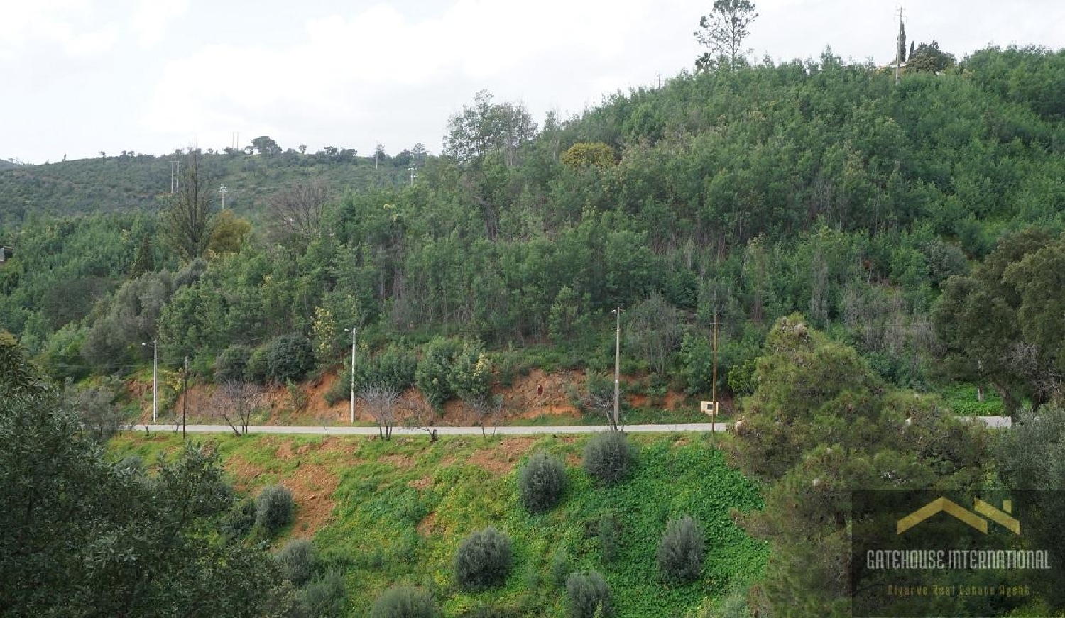  à venda casa Monchique Monchique 6