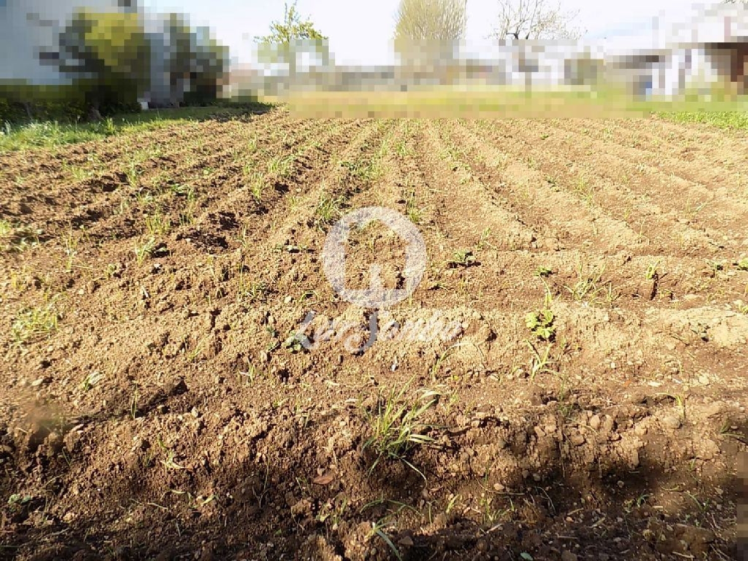 à vendre maison Muro Trofa 3