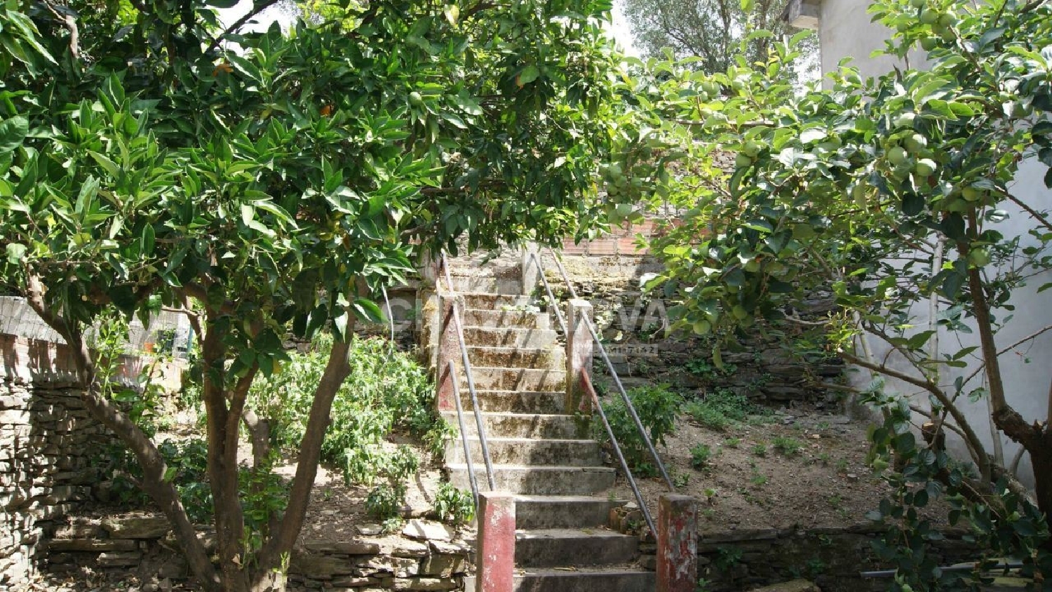  for sale house Nogueira Boticas 3