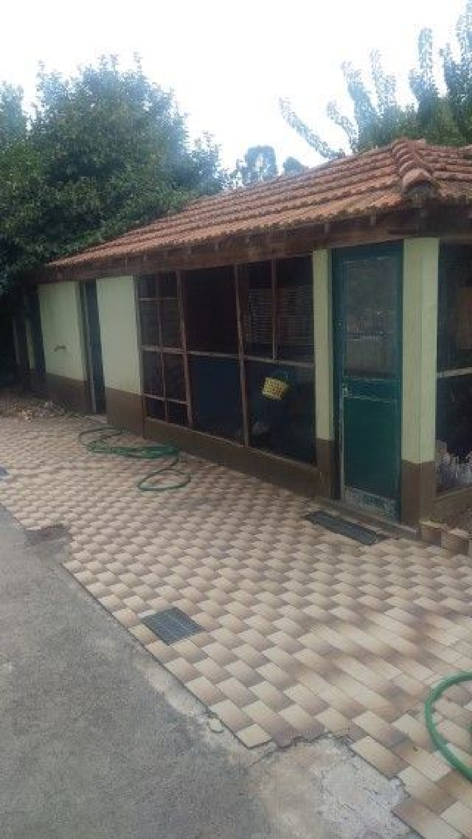 for sale house Oliveira do Douro Cinfães 2