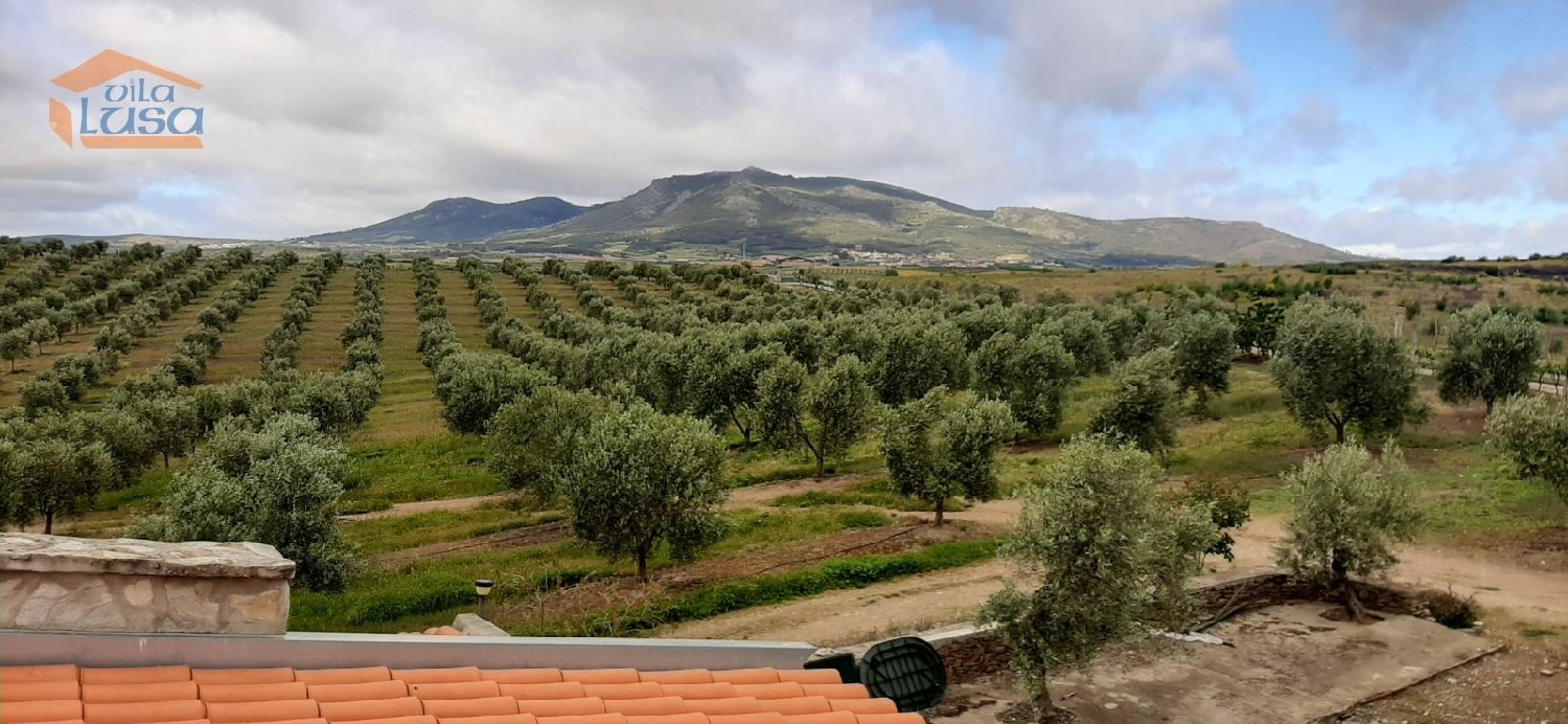  à vendre maison Passos Mirandela 1