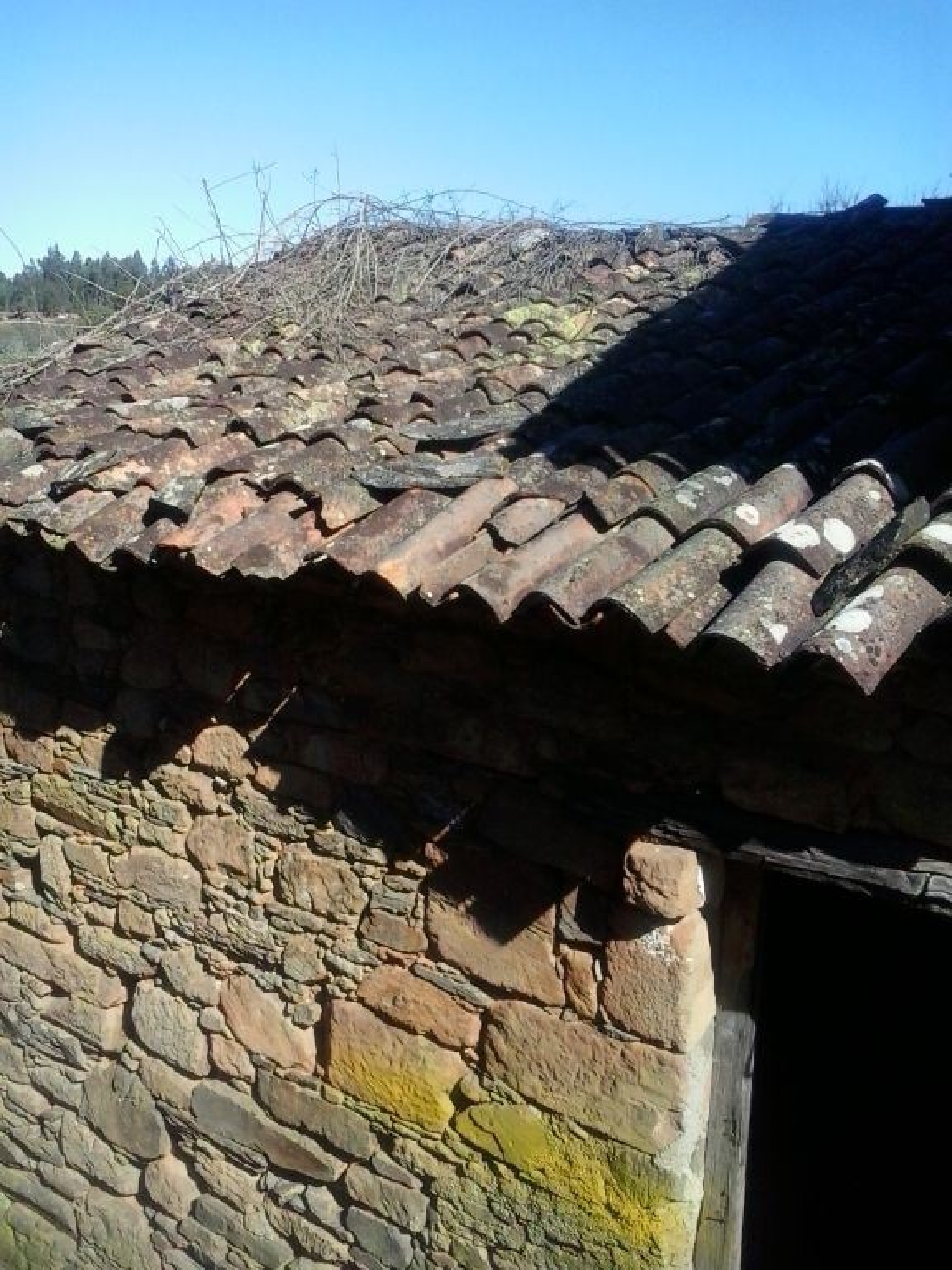 te koop huis Pedrógão Pequeno Sertã 3