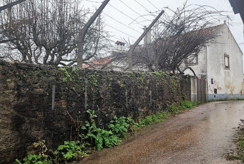 Pedrógão Pequeno Sertã maison foto 327270