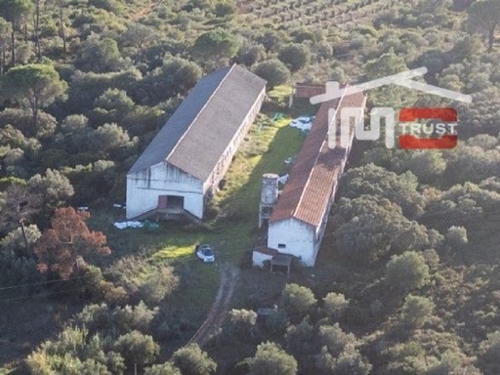Pedrógão Torres Novas huis foto 326532