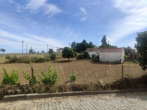 Peral Proença-A-Nova huis foto 327176