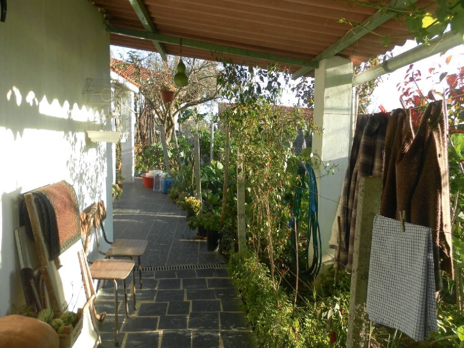 köpa hus Peral Proença-A-Nova 3