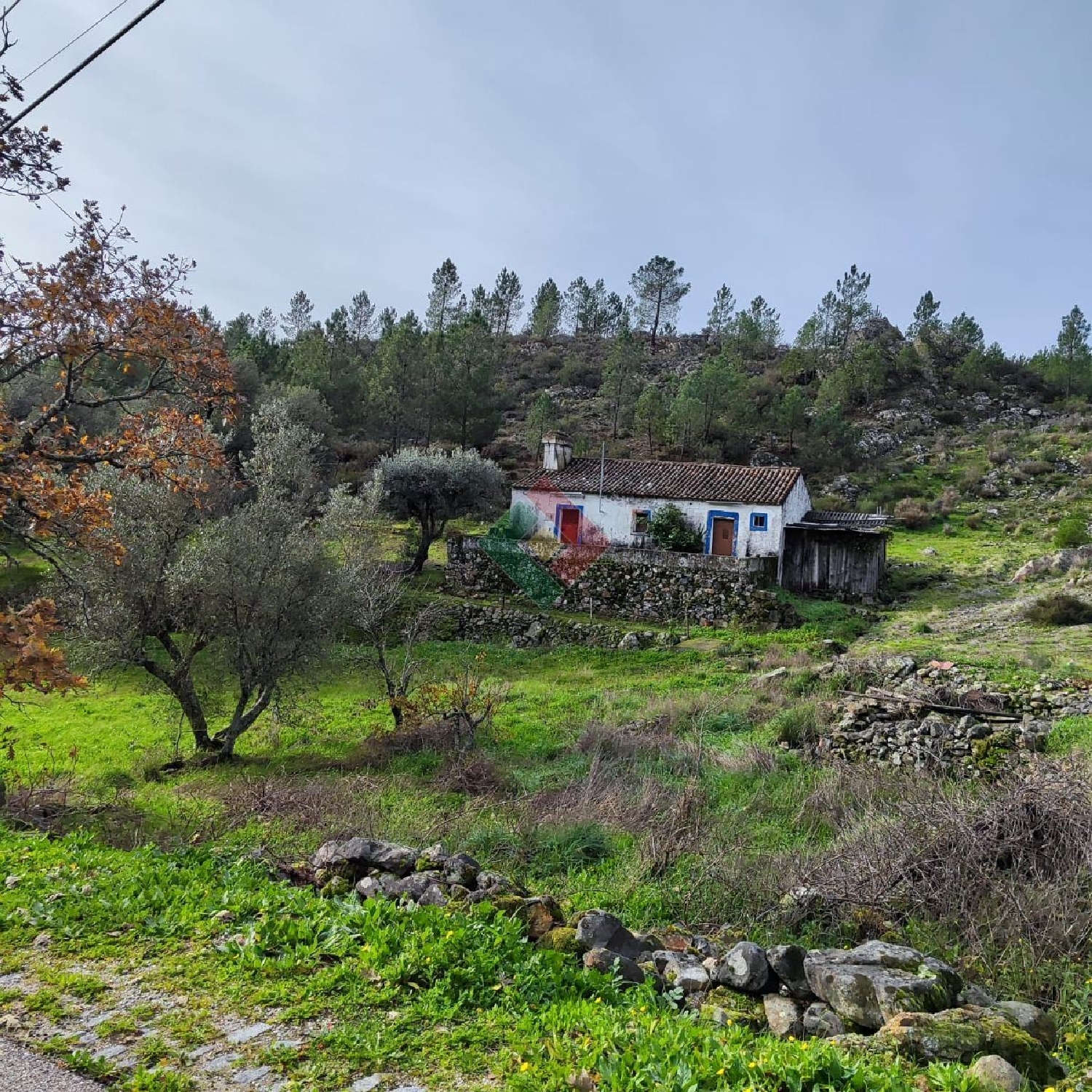  te koop huis Pereiro Marvão 1