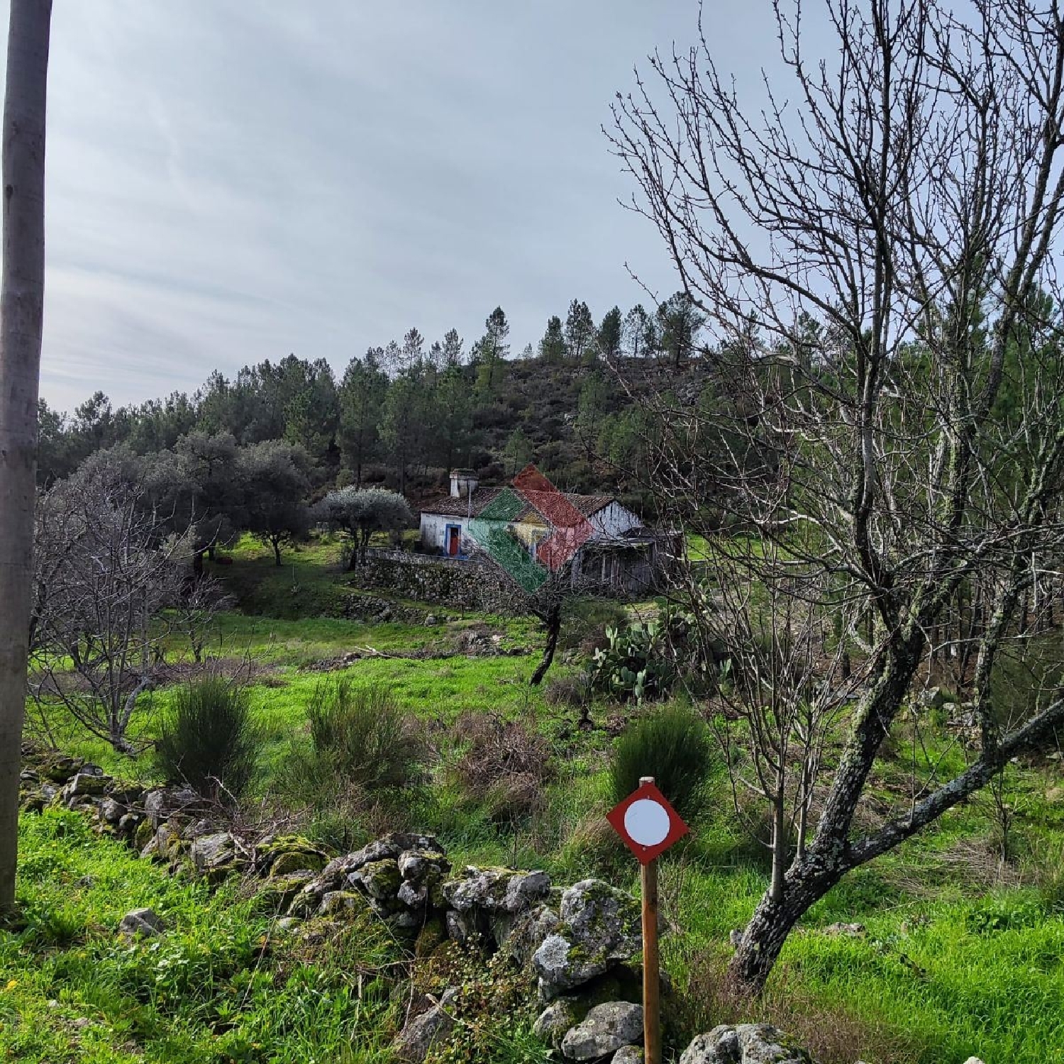  te koop huis Pereiro Marvão 2