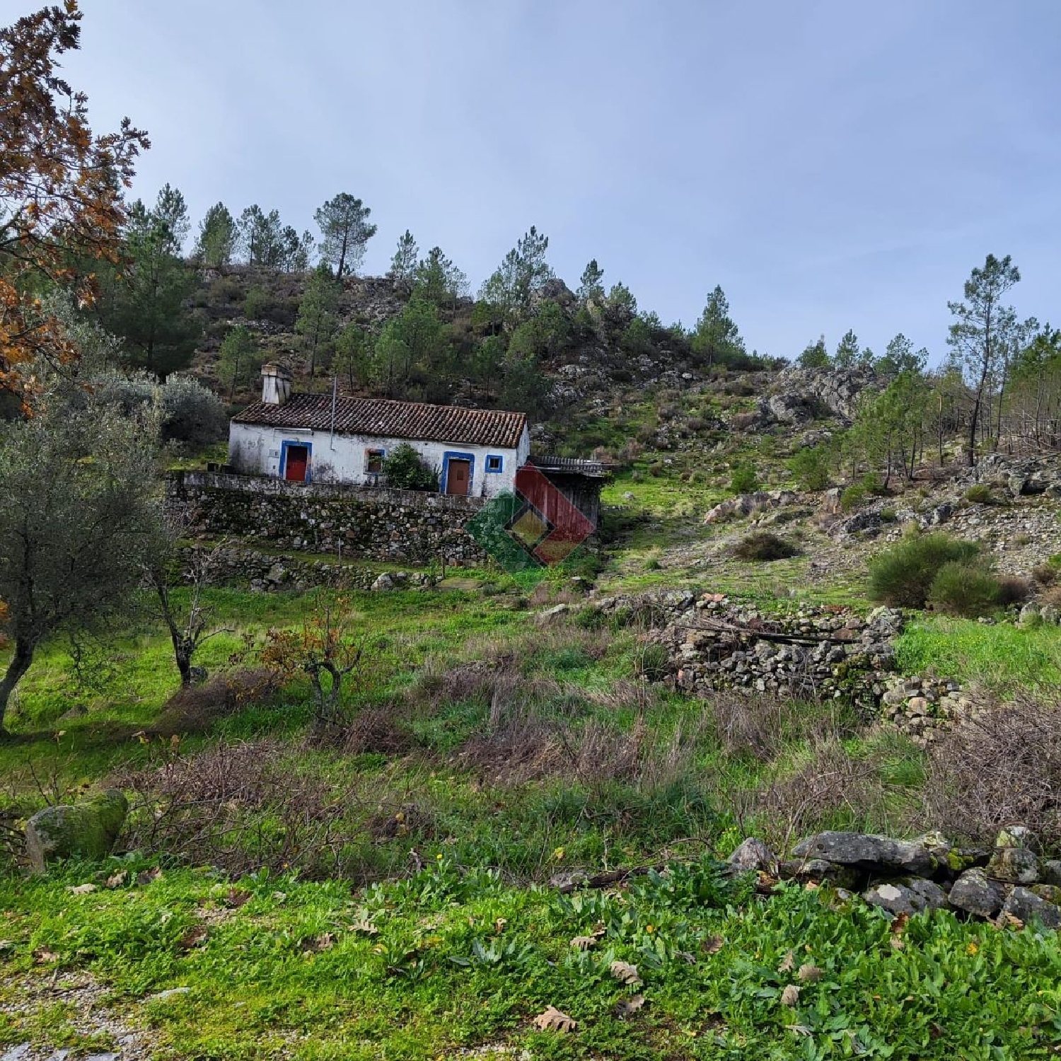  te koop huis Pereiro Marvão 3