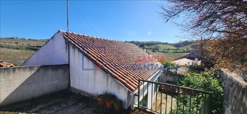 Pereiros São João Da Pesqueira casa foto 319303