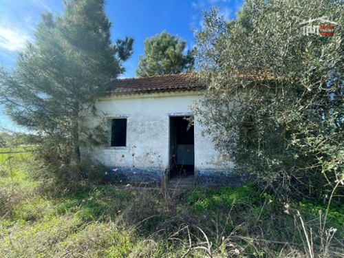 Pinhal Novo Palmela huis foto 326857