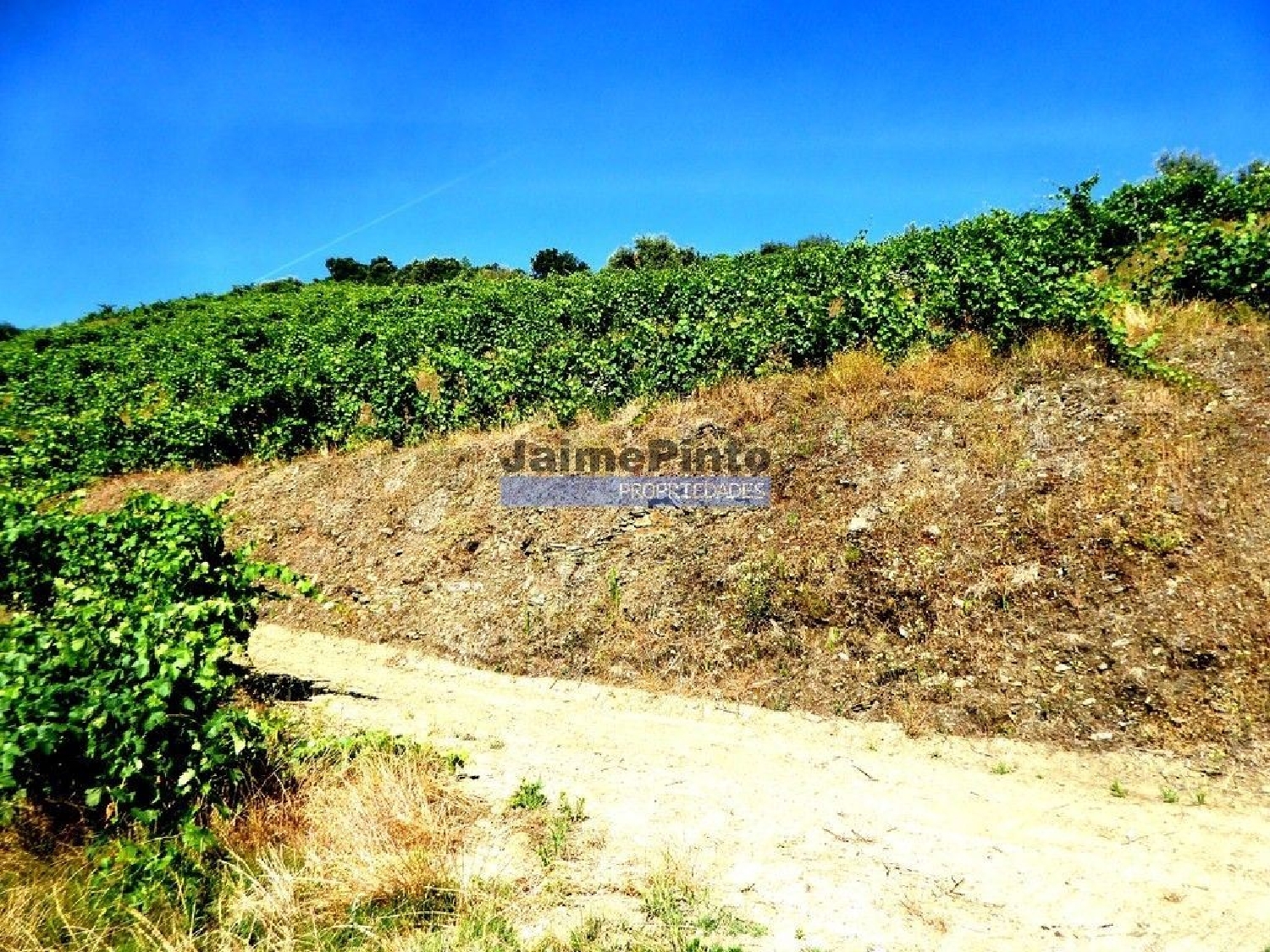  en venta casa Pinhão Alijó 1