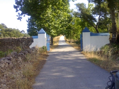 Portalegre Portalegre casa foto 325150