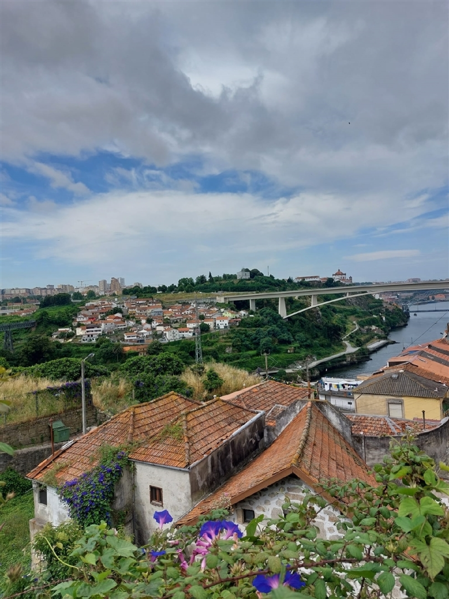  à venda casa Porto Porto 8