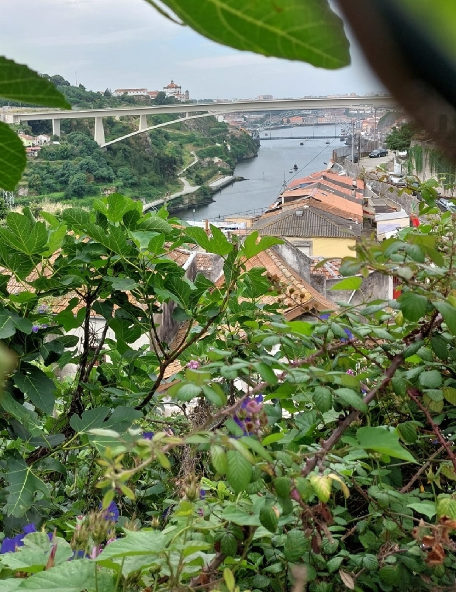  à venda casa Porto Porto 8