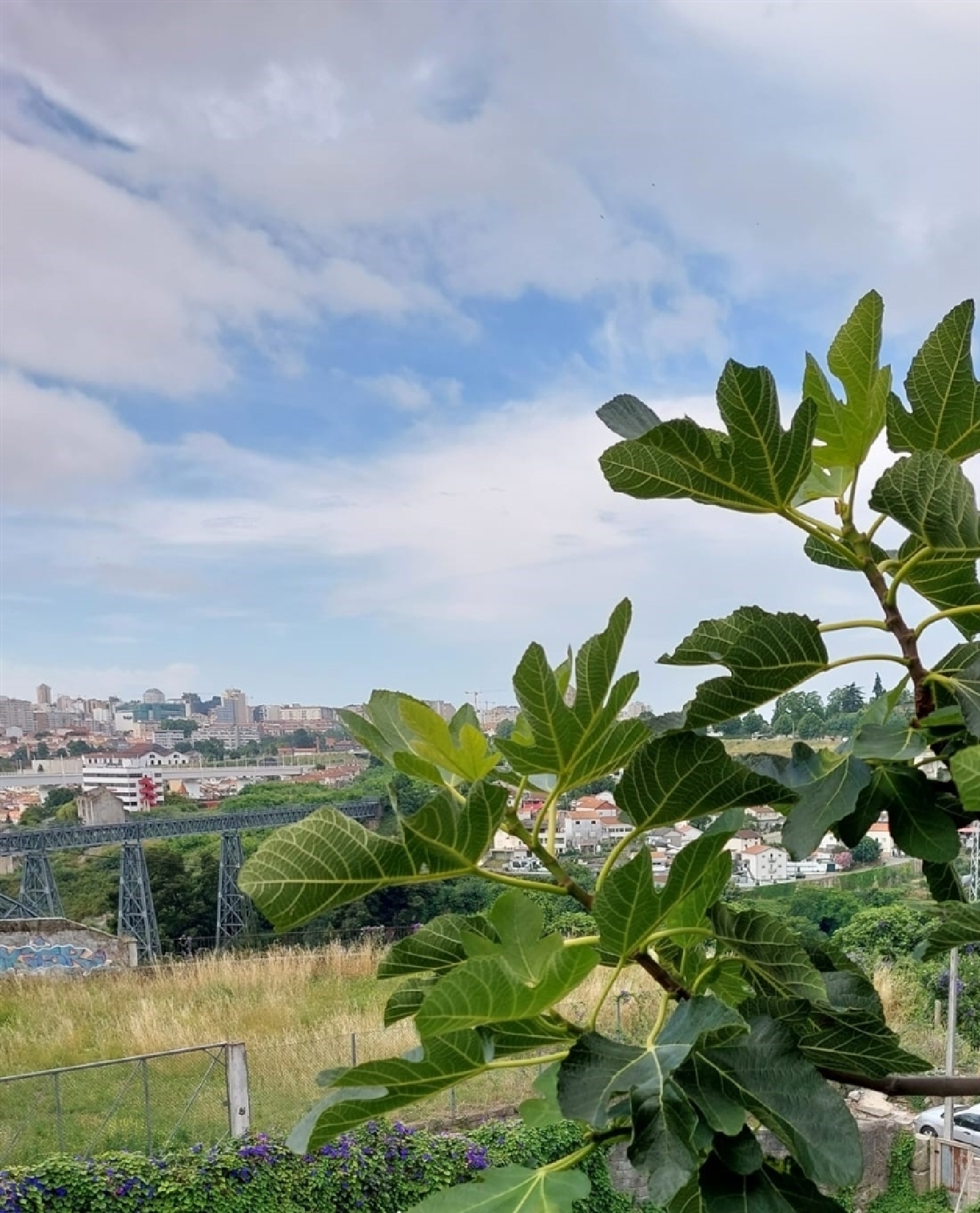  à venda casa Porto Porto 8