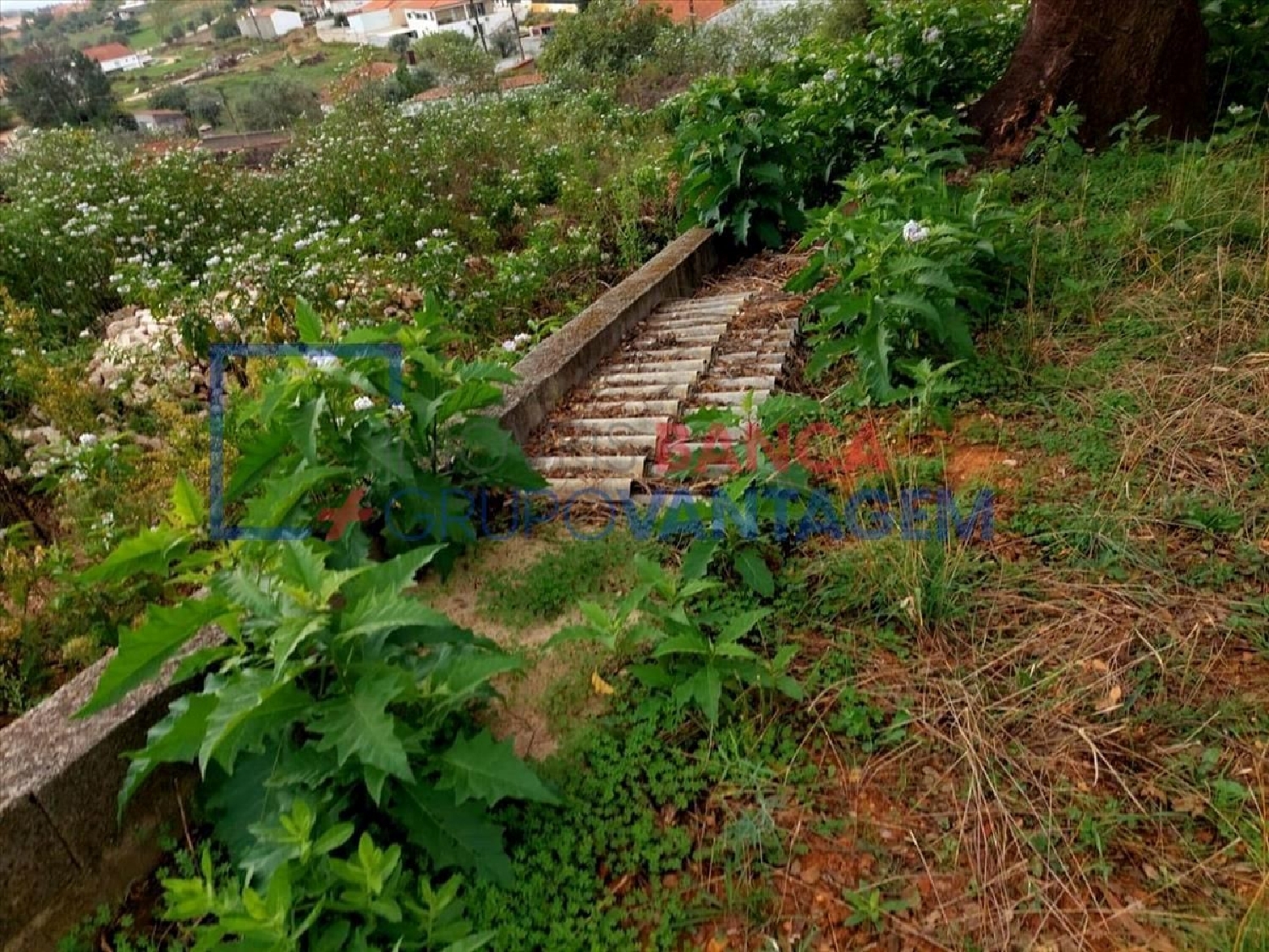 for sale house Praia do Ribatejo Vila Nova Da Barquinha 2