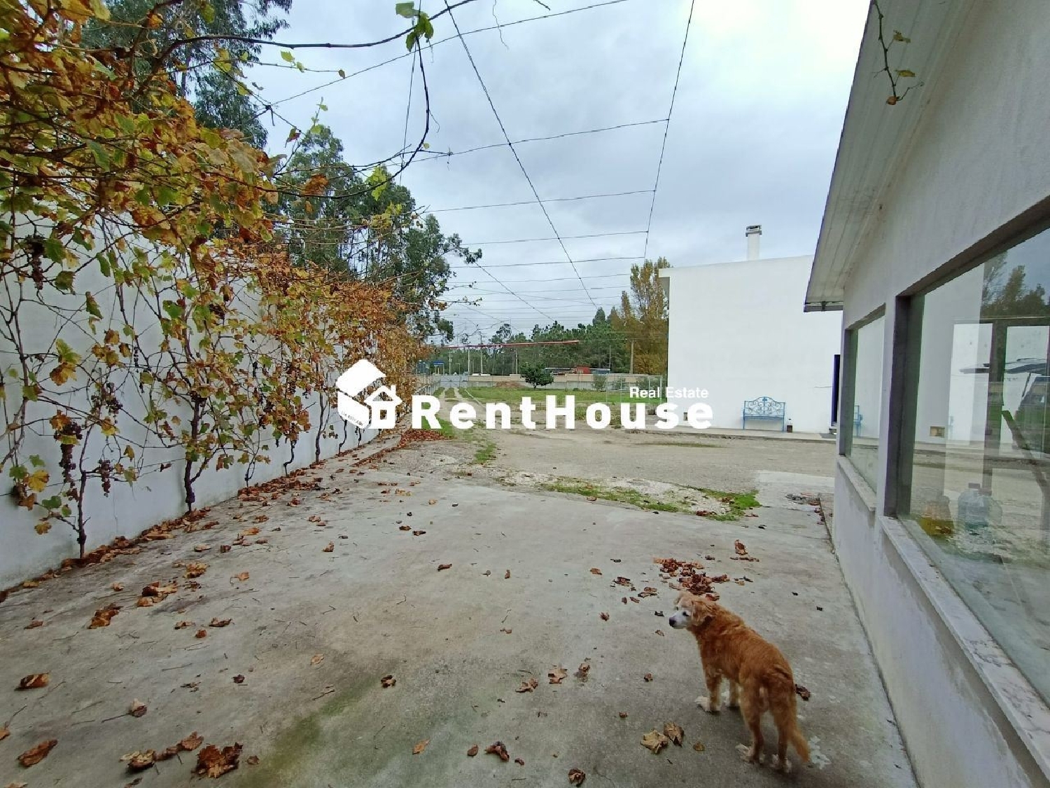  te koop huis Quiaios Figueira Da Foz 3