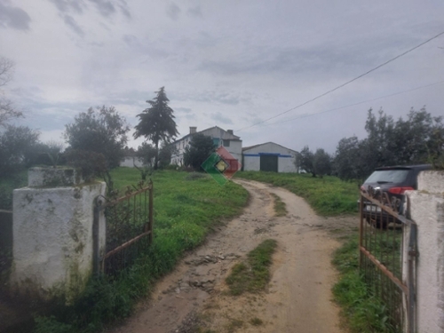 Quinta do Chorão Portalegre house foto 324738