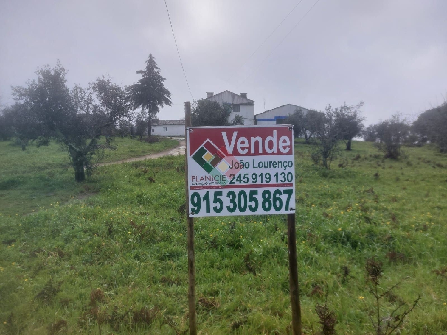  for sale house Quinta do Chorão Portalegre 2