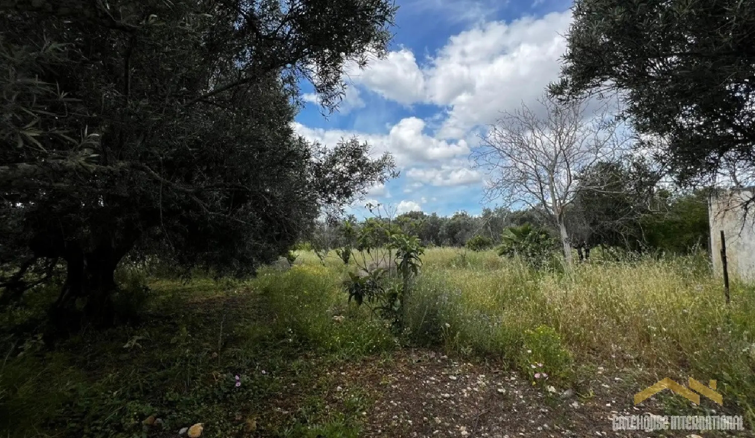  te koop huis Quinta do Lago Loulé 1