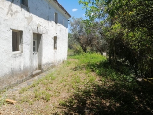 Reguengo Portalegre house foto 324621