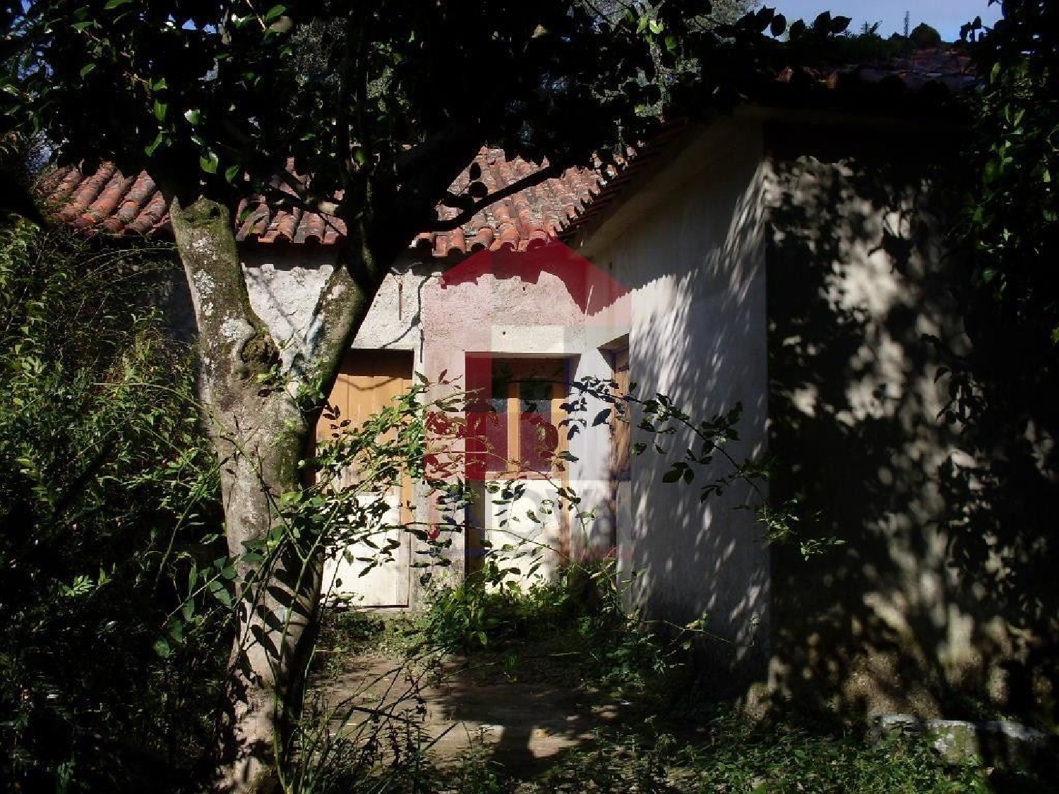  kaufen Haus Ribeira Vila Verde 1