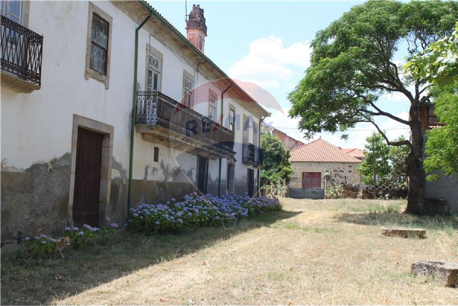  en venta casa Rio Torto Valpaços 3