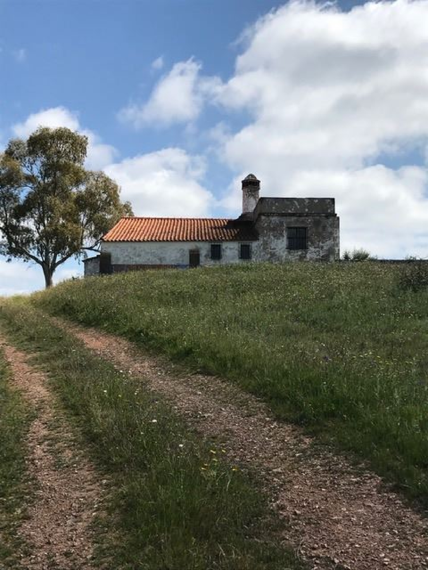  à venda casa Safara Moura 3