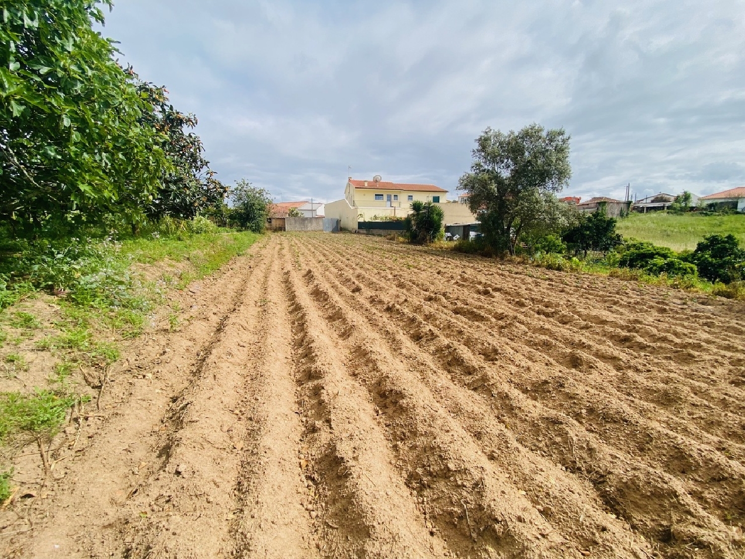  te koop huis Salir de Matos Caldas Da Rainha 2