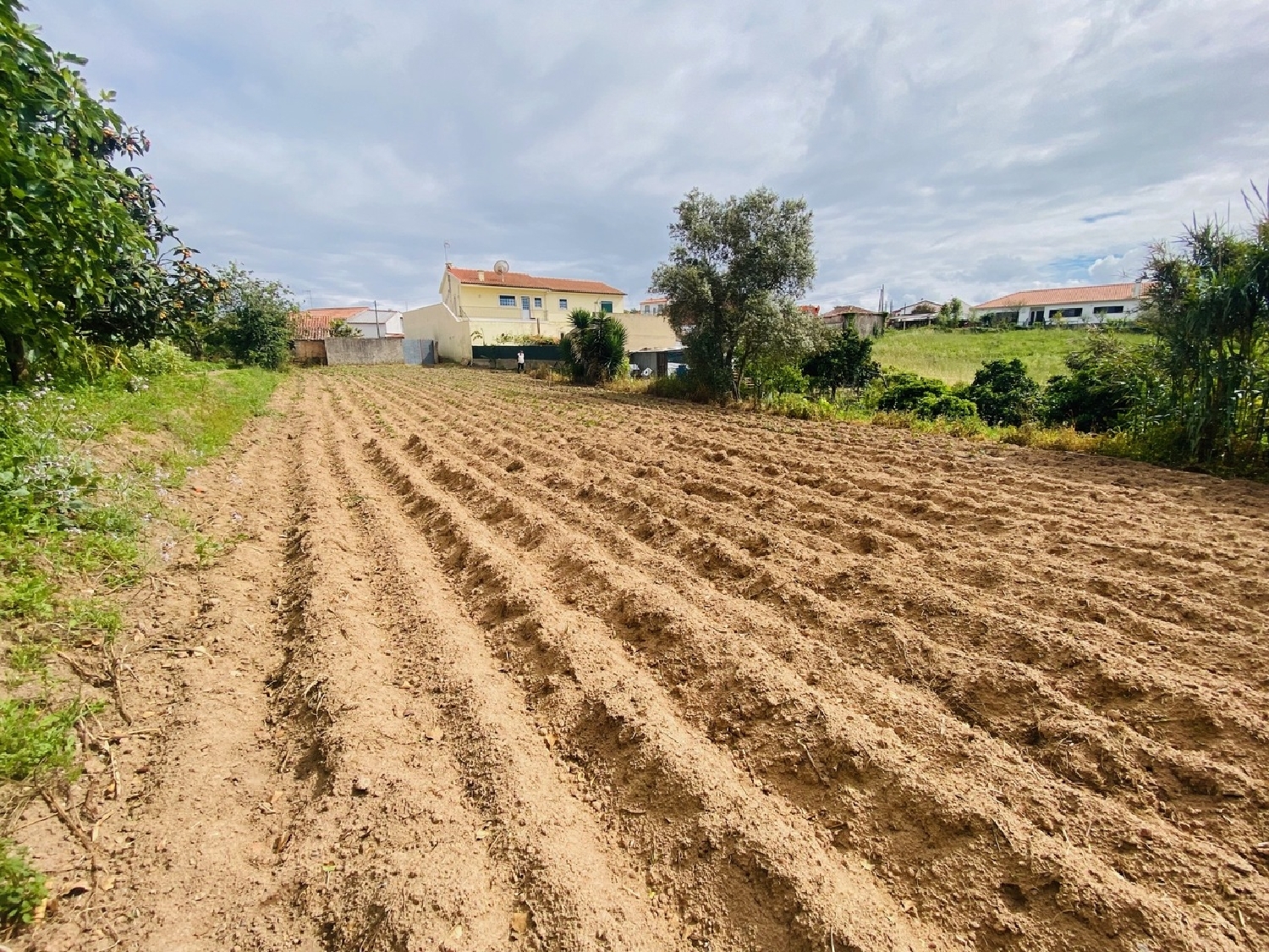  te koop huis Salir de Matos Caldas Da Rainha 7