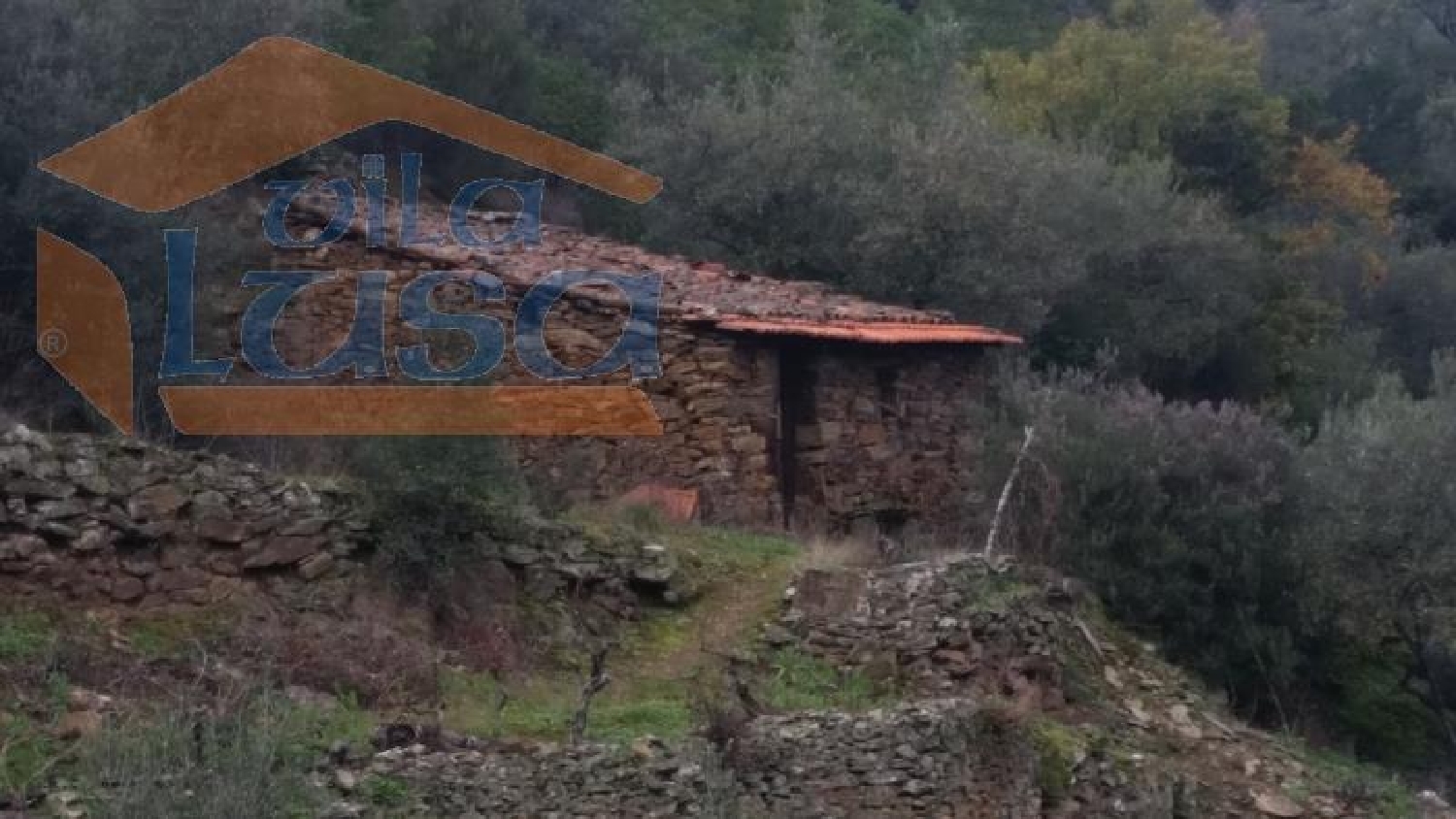  te koop huis Santo Adrião Armamar 1