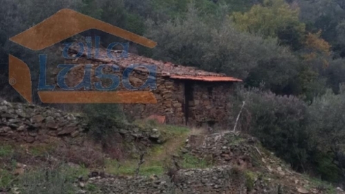 Santo Adrião Armamar huis foto 319984