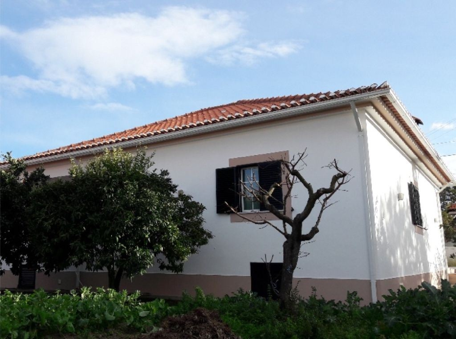  à vendre maison Santo António das Areias Marvão 1