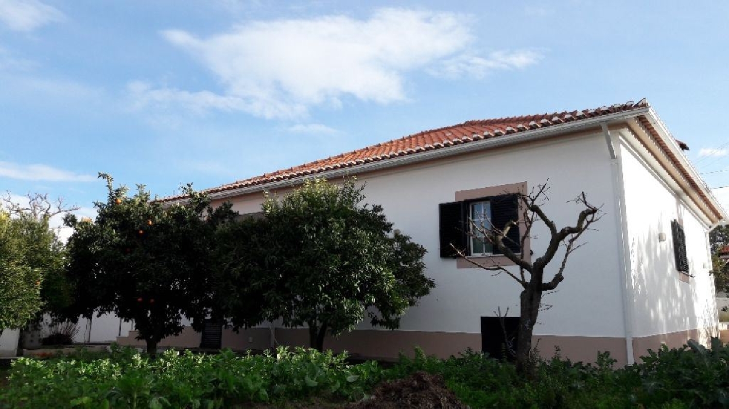 à vendre maison Santo António das Areias Marvão 2
