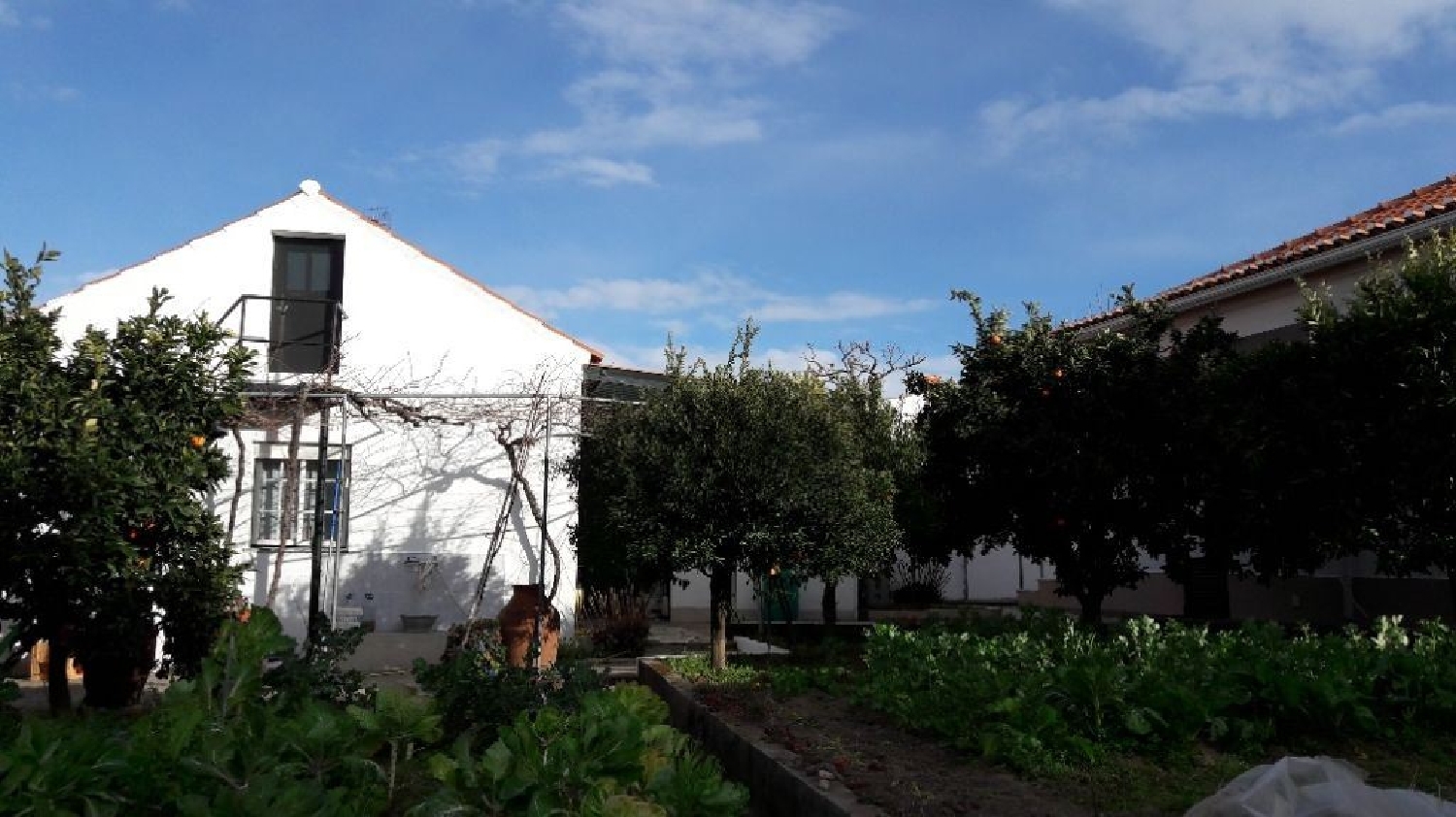 à vendre maison Santo António das Areias Marvão 3