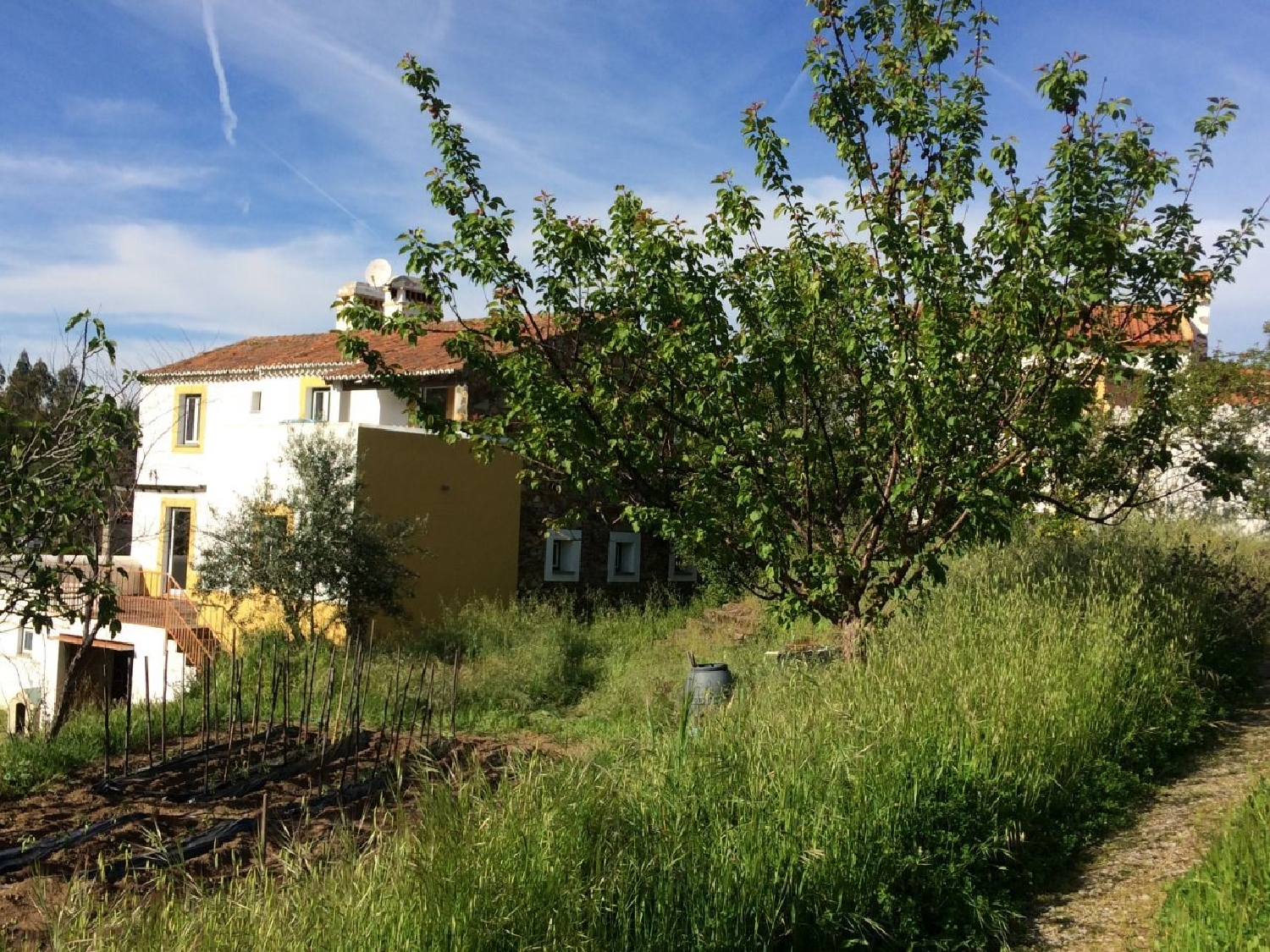  te koop huis Santo António das Areias Marvão 2