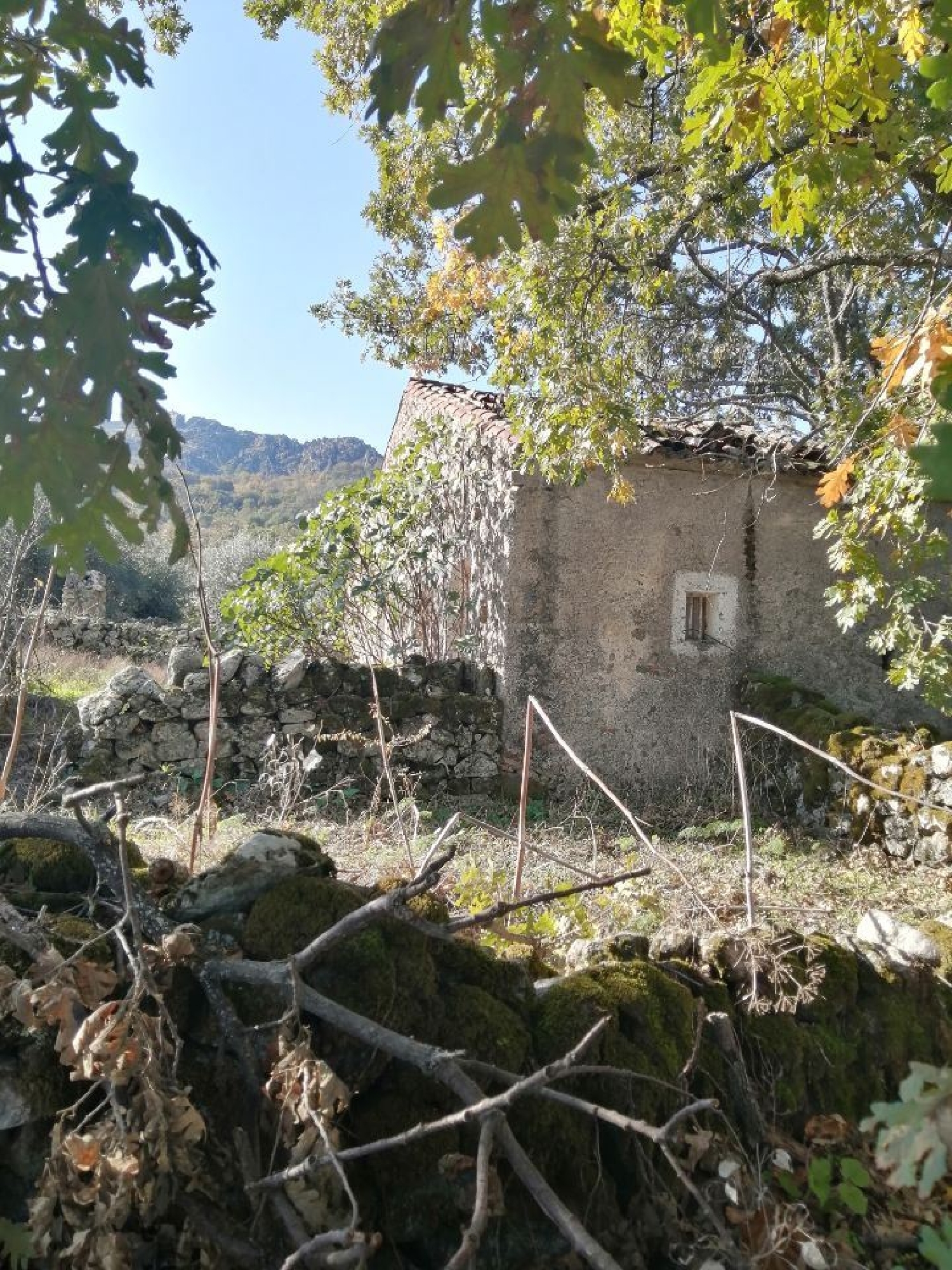  te koop huis Santo António das Areias Marvão 1