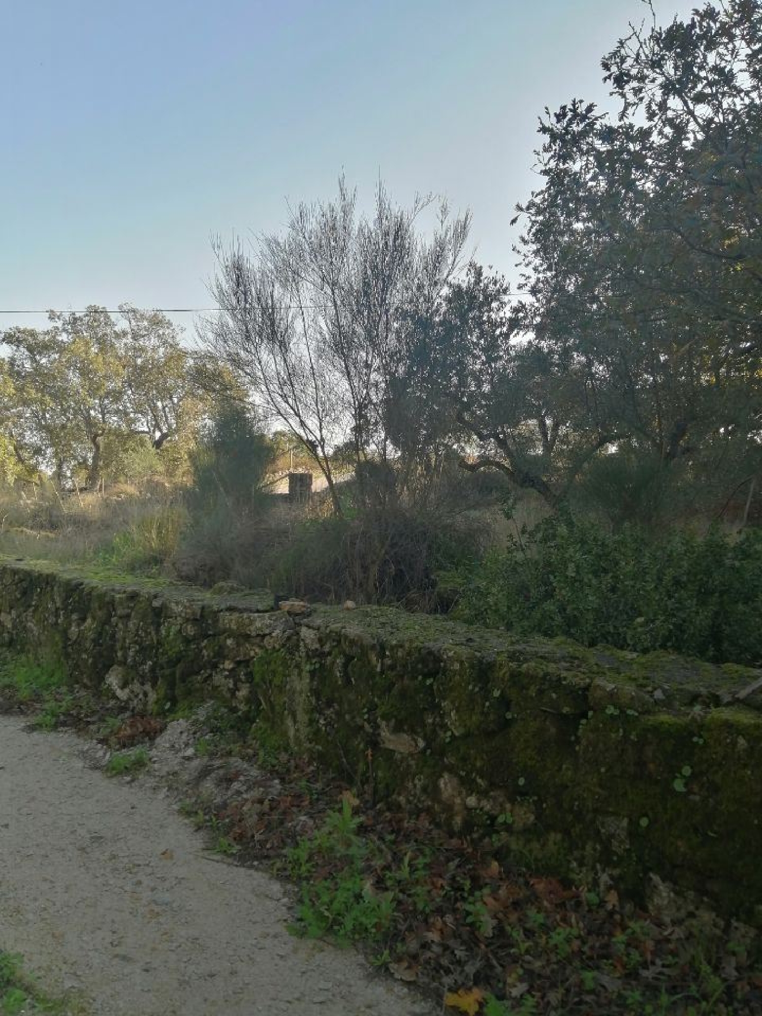  te koop huis Santo António das Areias Marvão 2