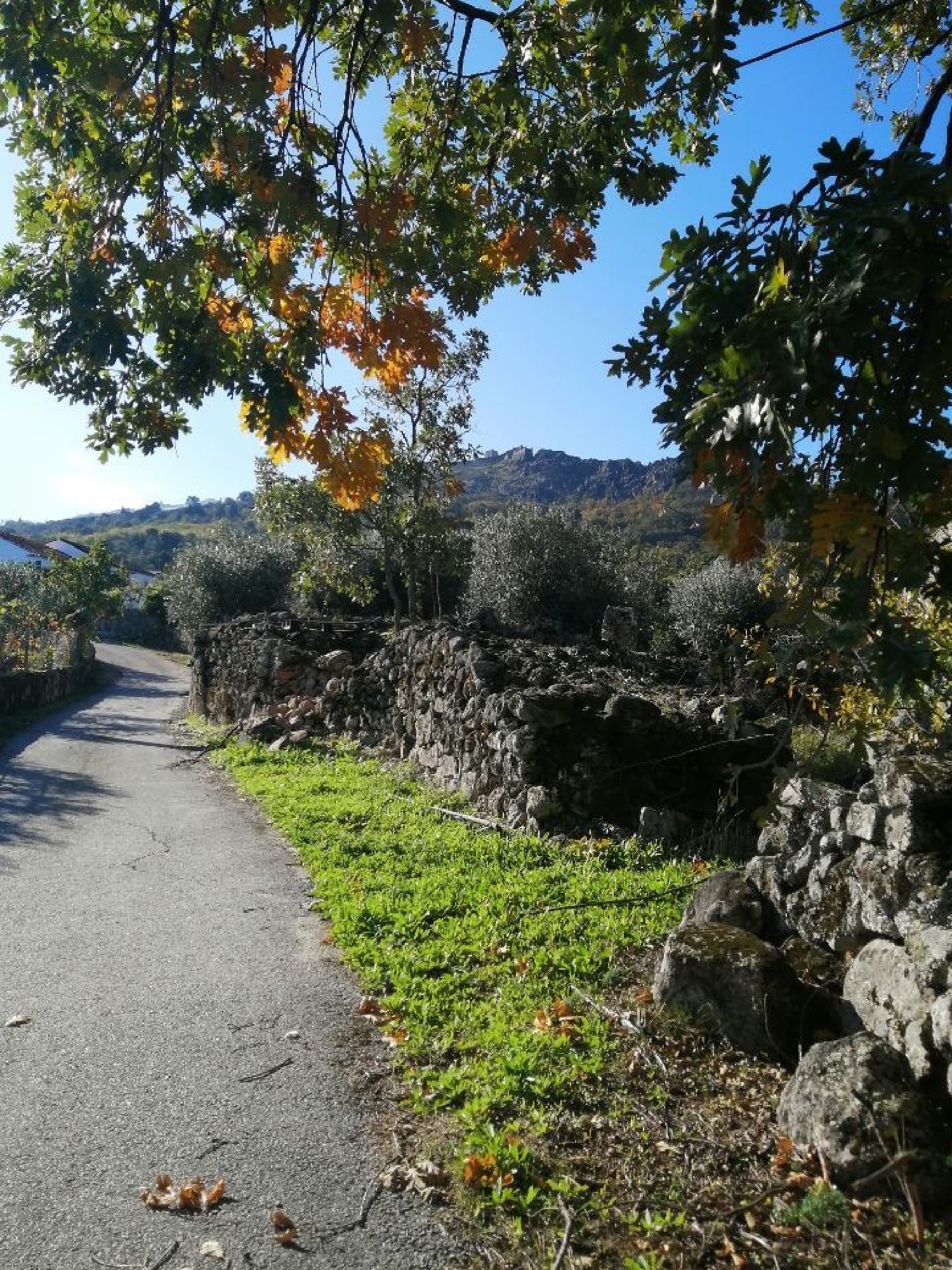  te koop huis Santo António das Areias Marvão 3