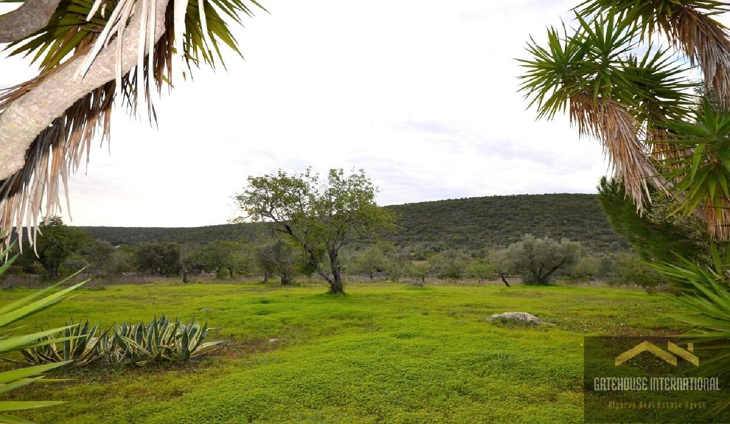  te koop huis São Brás de Alportel São Brás De Alportel 5