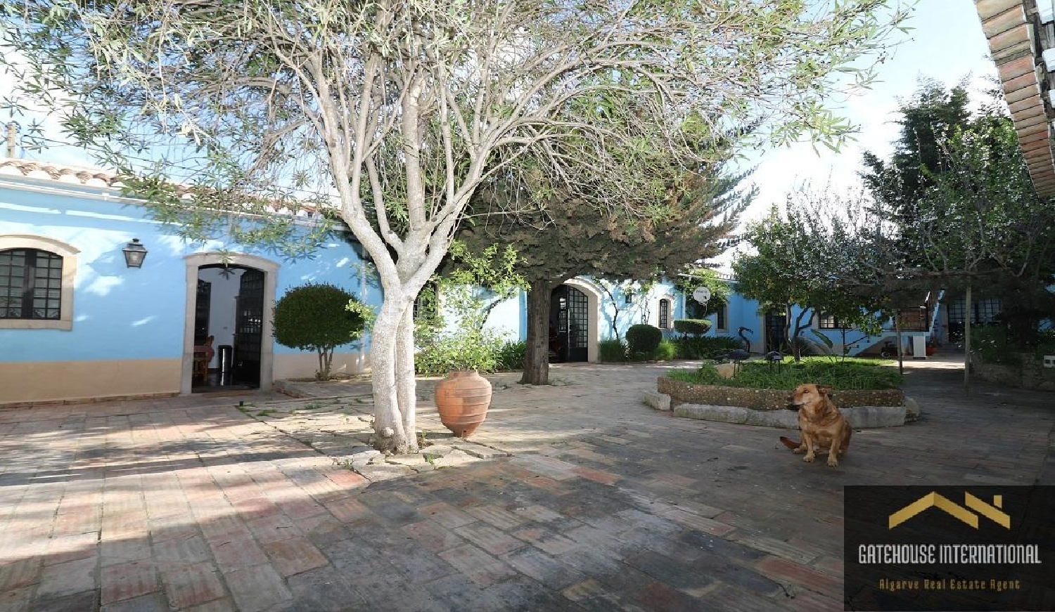  à venda casa São Brás de Alportel São Brás De Alportel 1