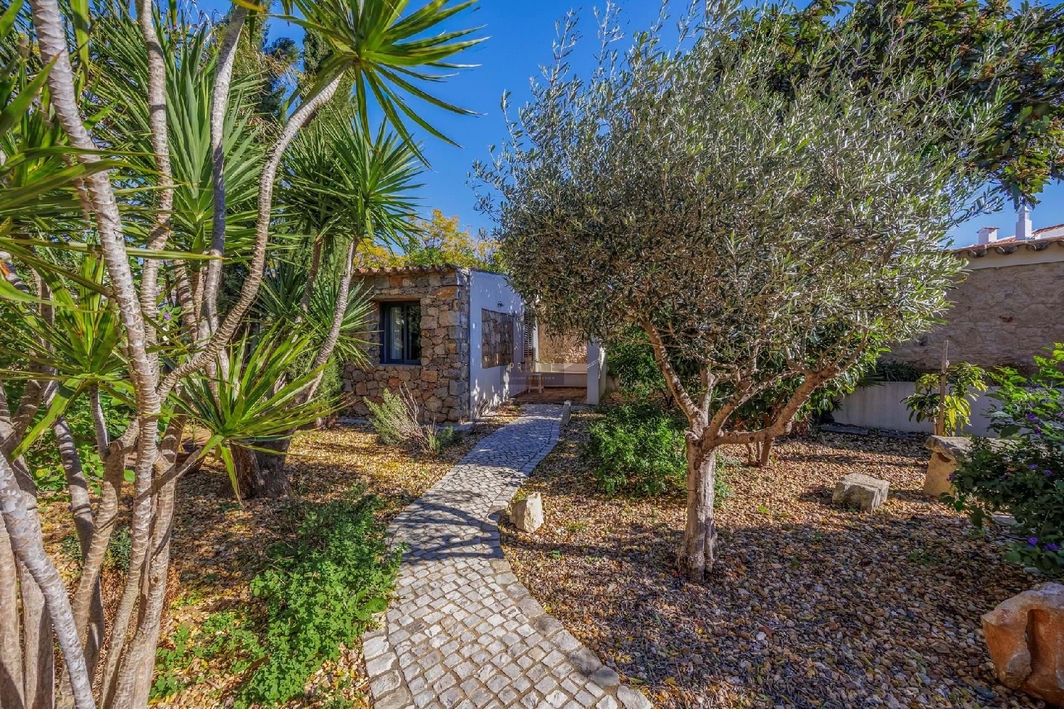  te koop huis São Brás de Alportel São Brás De Alportel 4