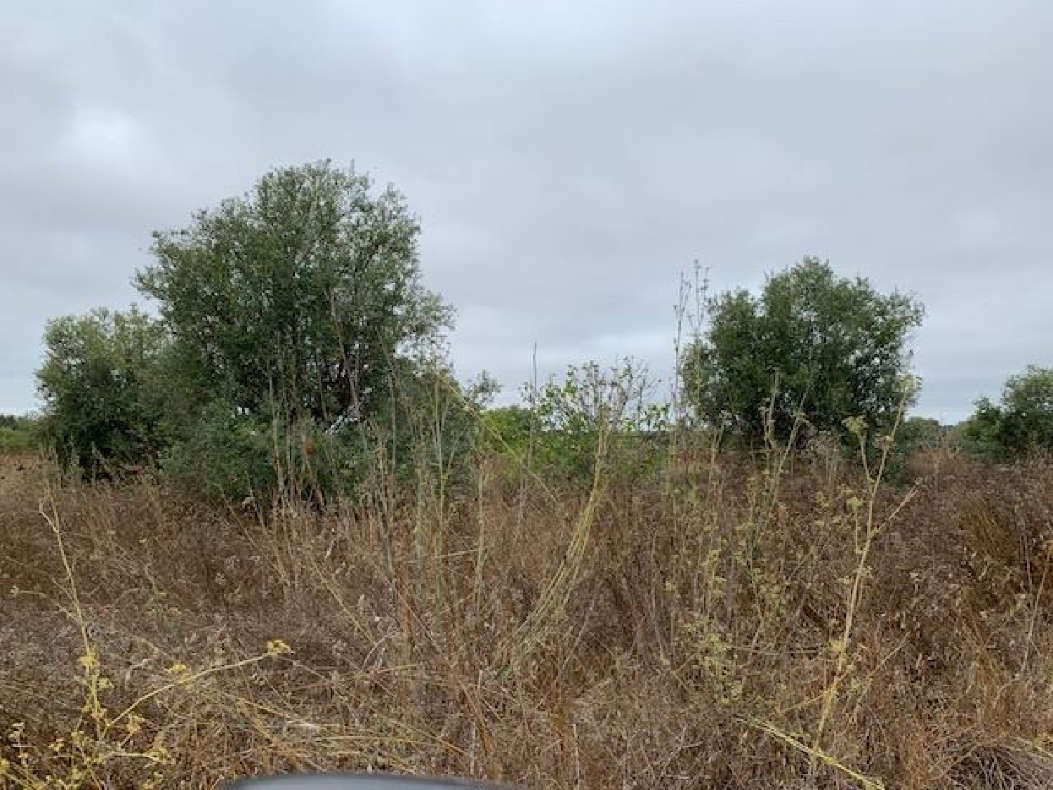  à venda casa São Brissos Beja 2
