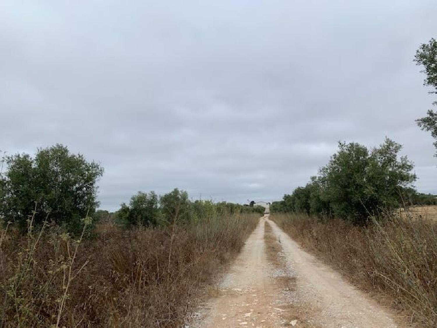  à venda casa São Brissos Beja 3