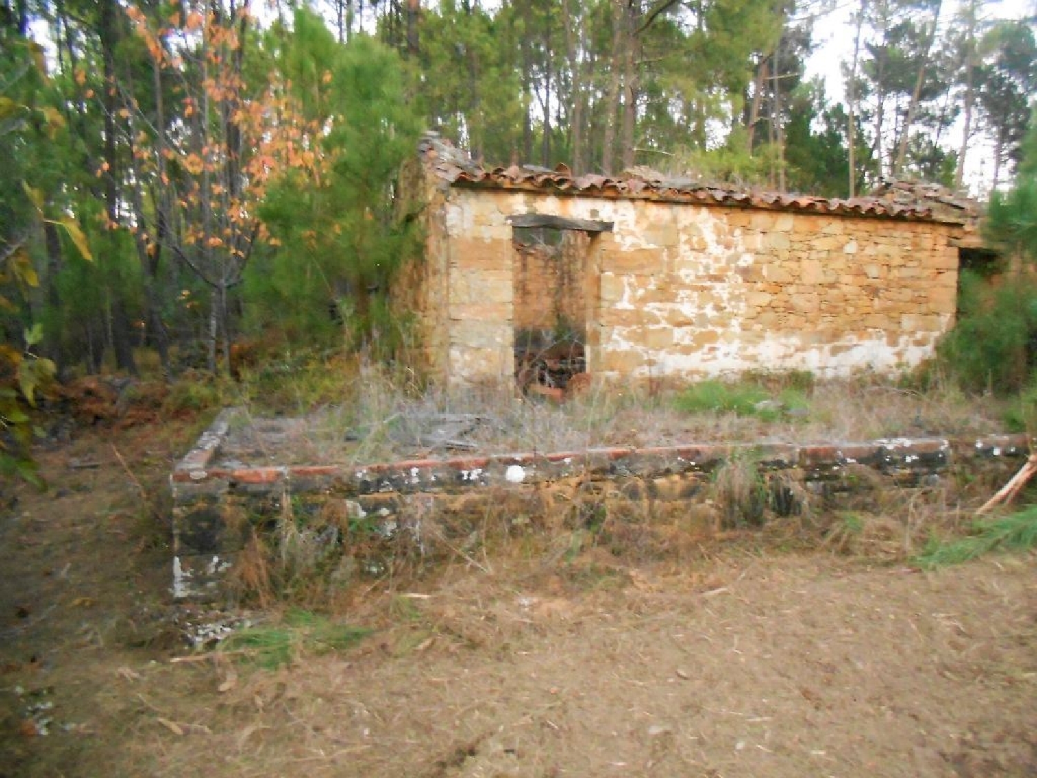  te koop huis Sertã Sertã 1