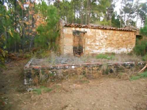 Sertã Sertã huis foto 327157