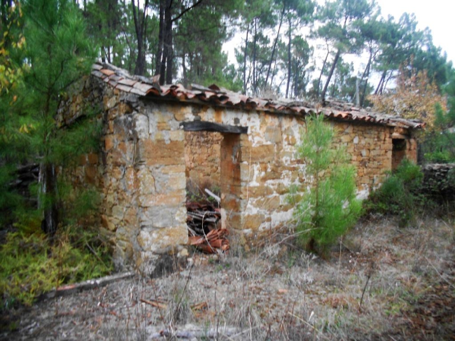 te koop huis Sertã Sertã 2