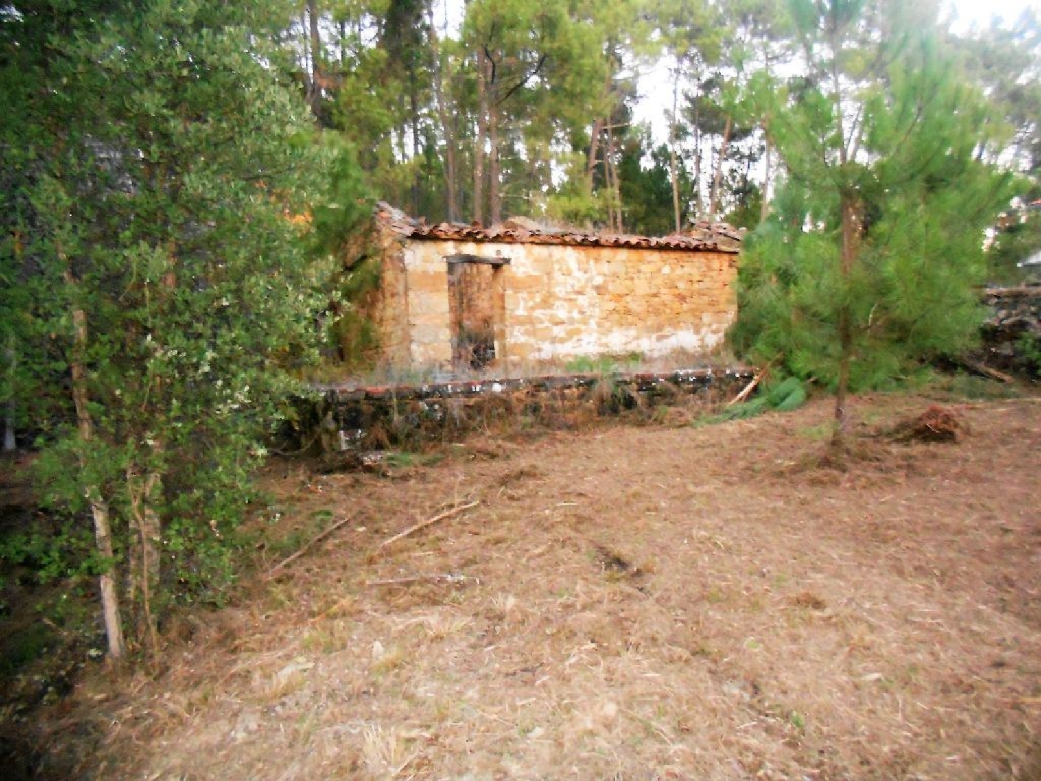 te koop huis Sertã Sertã 3