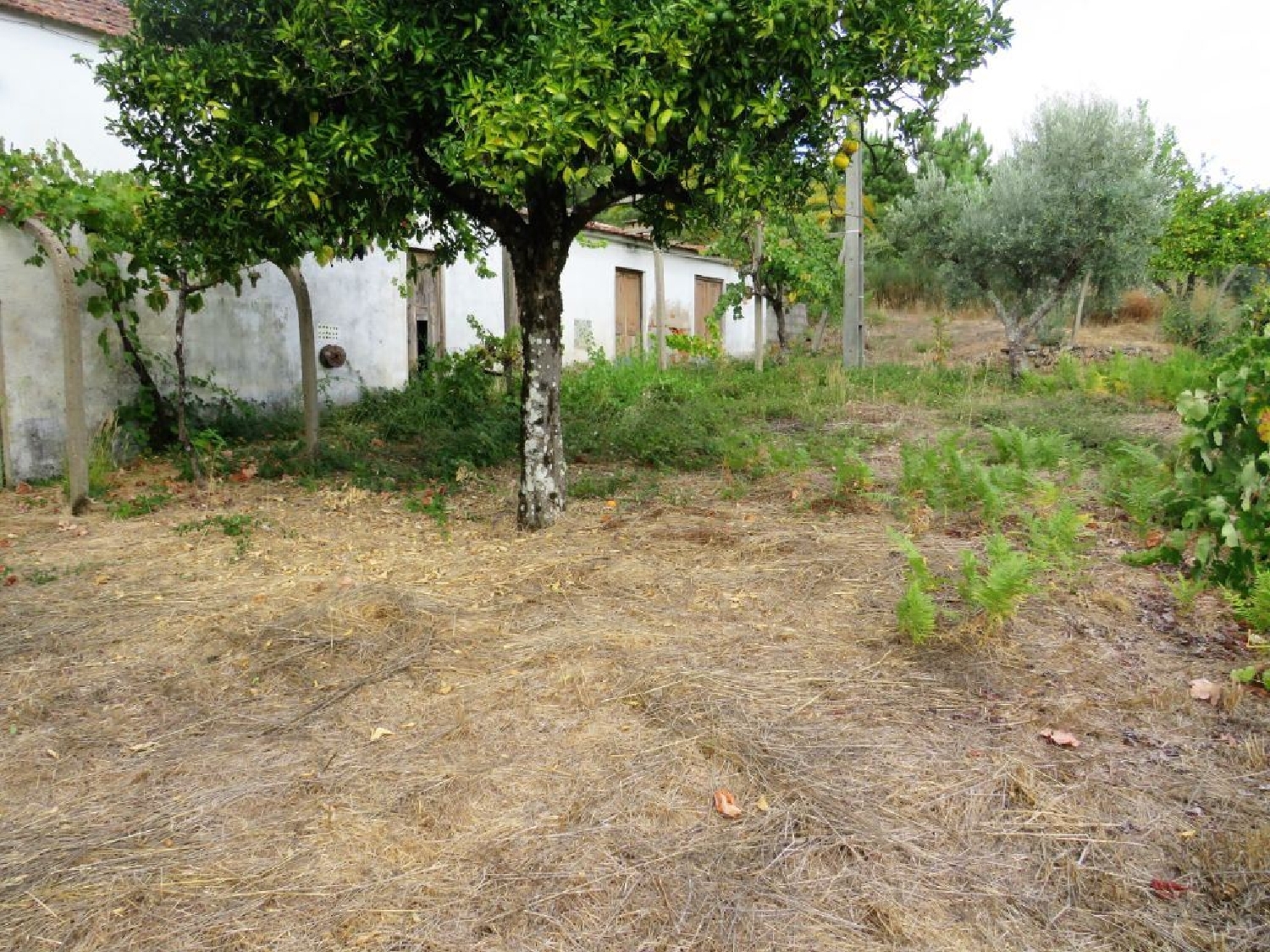 te koop huis Sertã Sertã 3